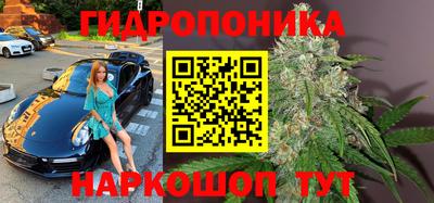 прущие грибы Аргун
