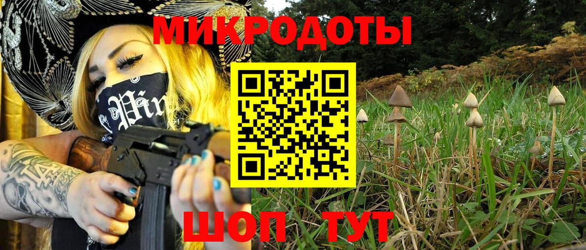 закладка  Галлюциногенные грибы MAGIC MUSHROOMS  Вход с VPN  Бахчисарай 