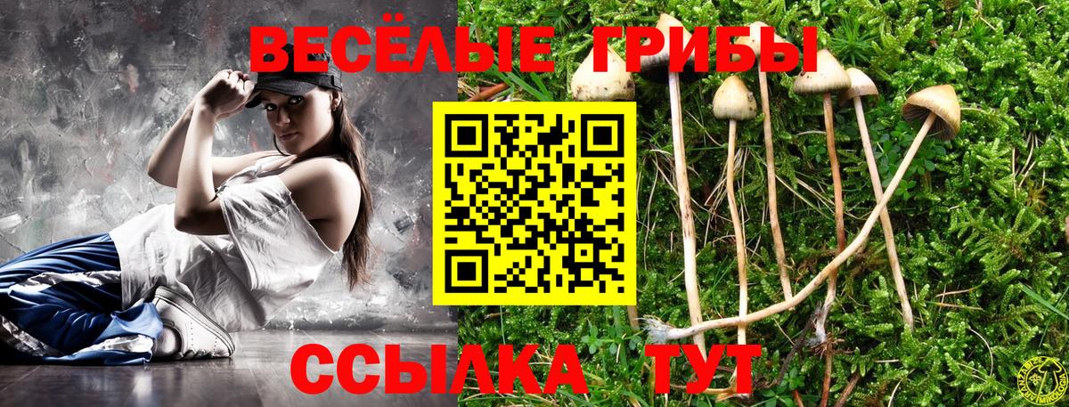 Галлюциногенные грибы GOLDEN TEACHER Бахчисарай